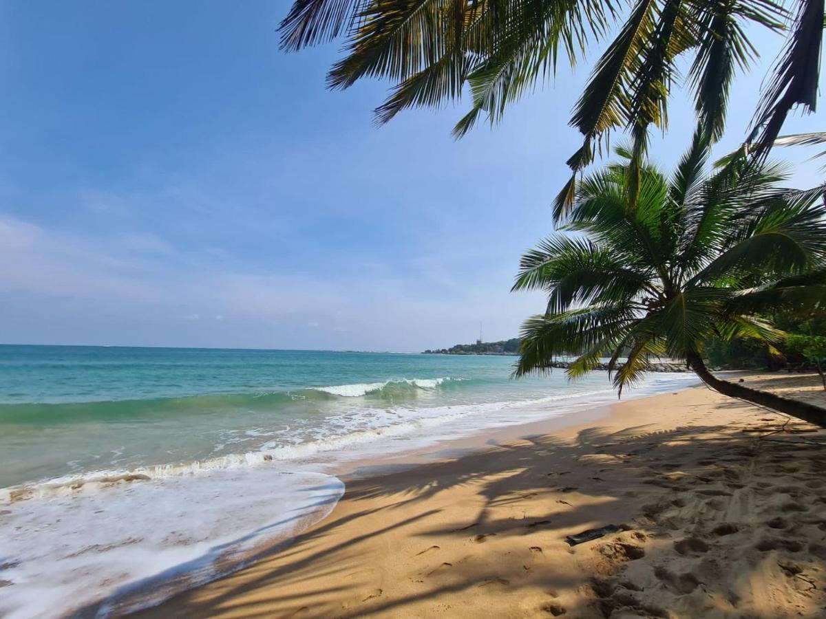 Готель Frangipani
